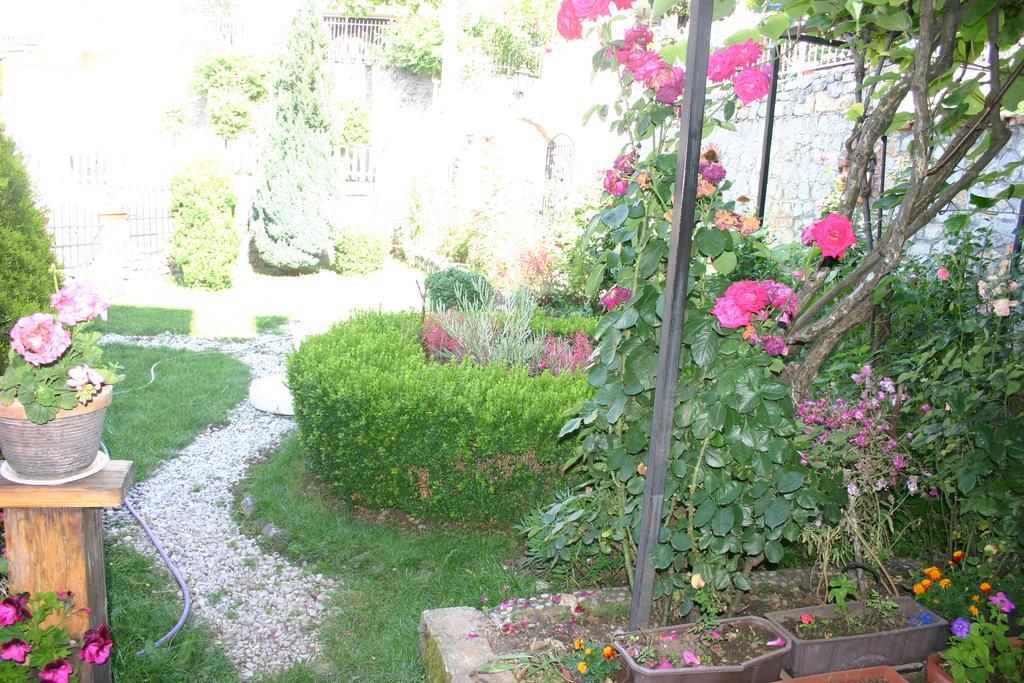 Villa Filip トルペチャ エクステリア 写真